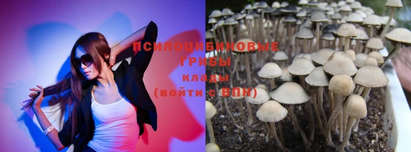 гидропоника Михайлов